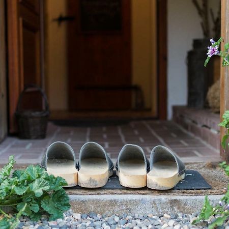 Holiday Home Usedlost Novy Svet Ruzova Zewnętrze zdjęcie